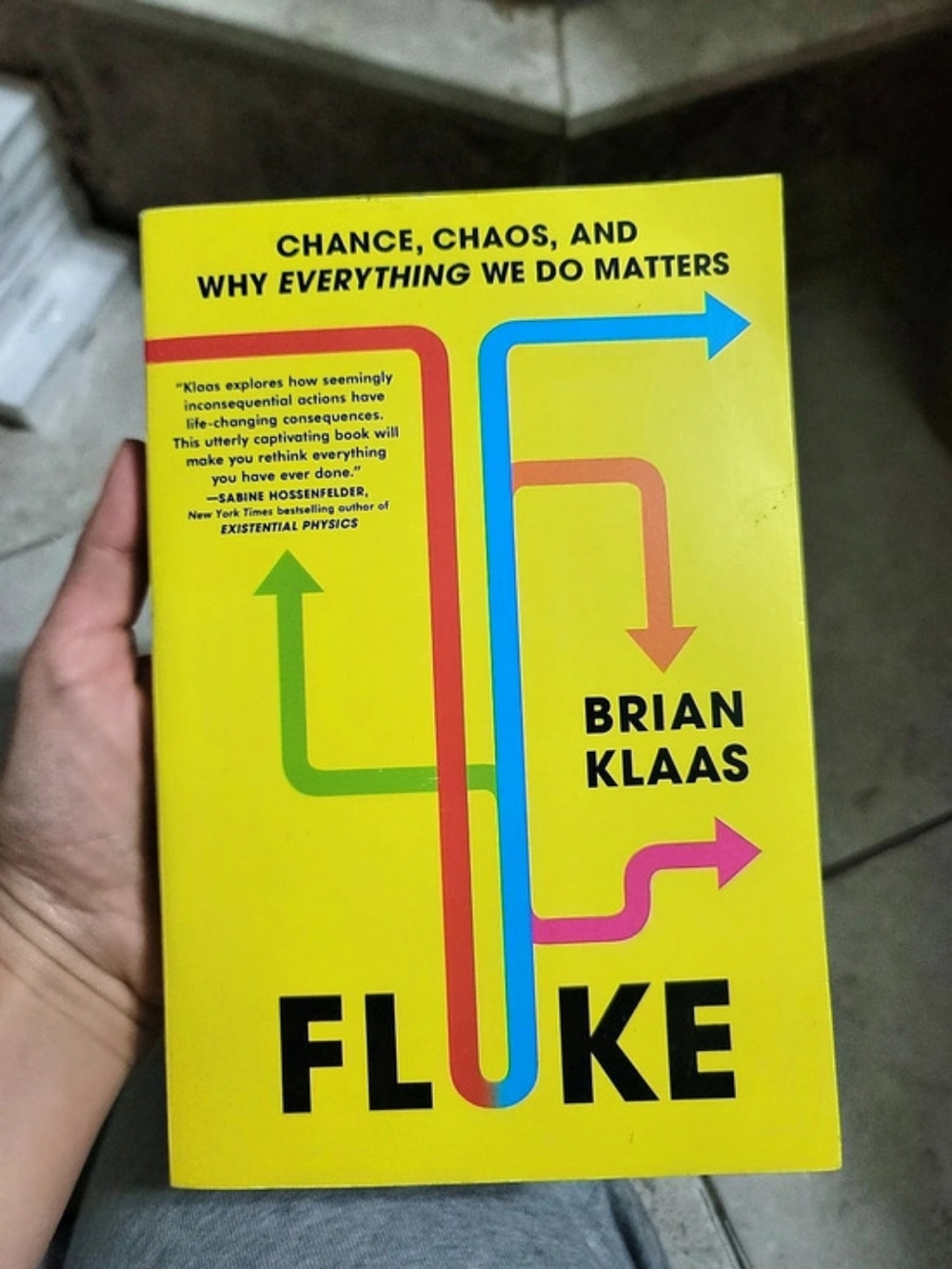 Fluke: Chance, Chaos, and Why Everything We Do Matters Yellow Book
